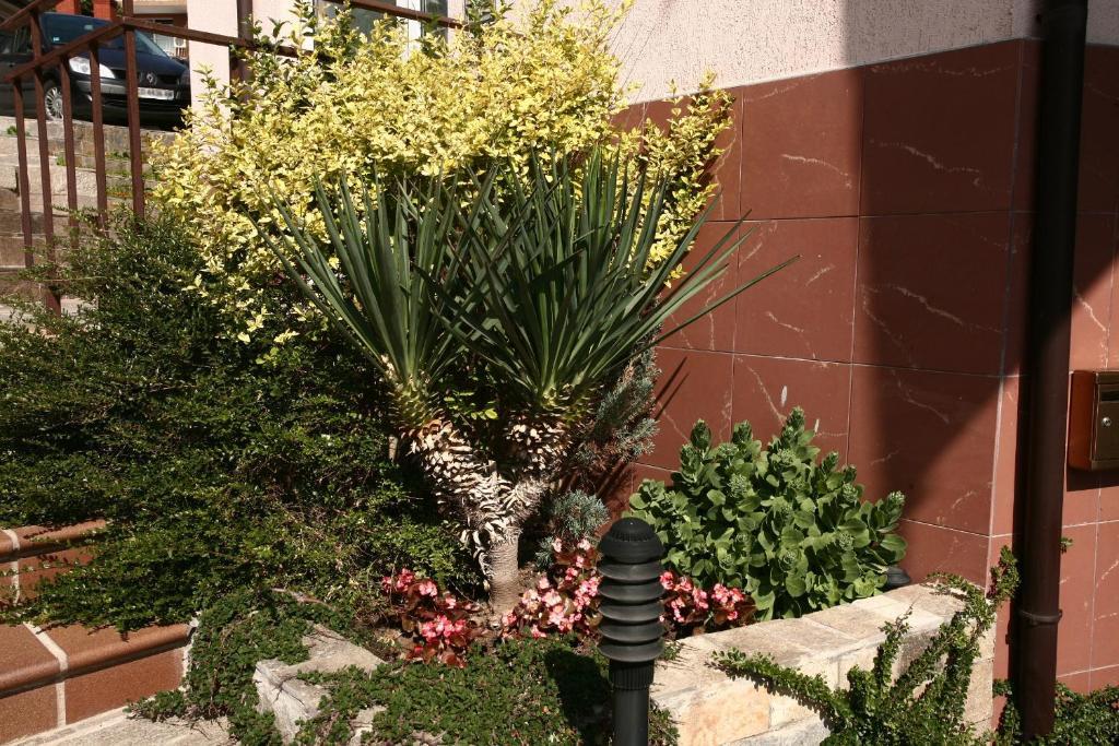 Fjord B&B Sozopol Buitenkant foto